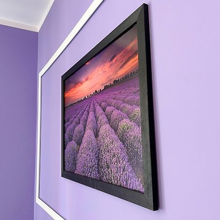 Apartament Lawendowy Walbrzych Luaran gambar