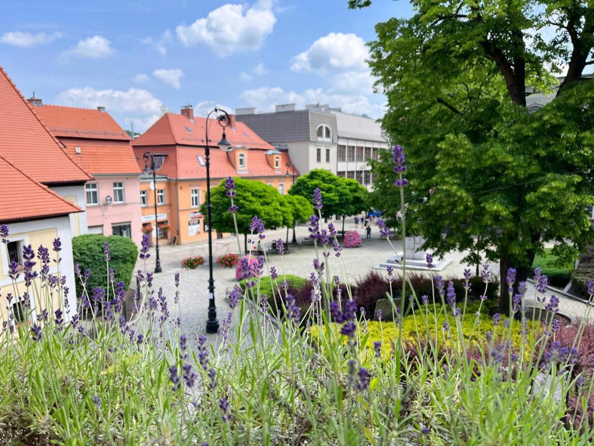 Apartament Lawendowy Walbrzych Luaran gambar