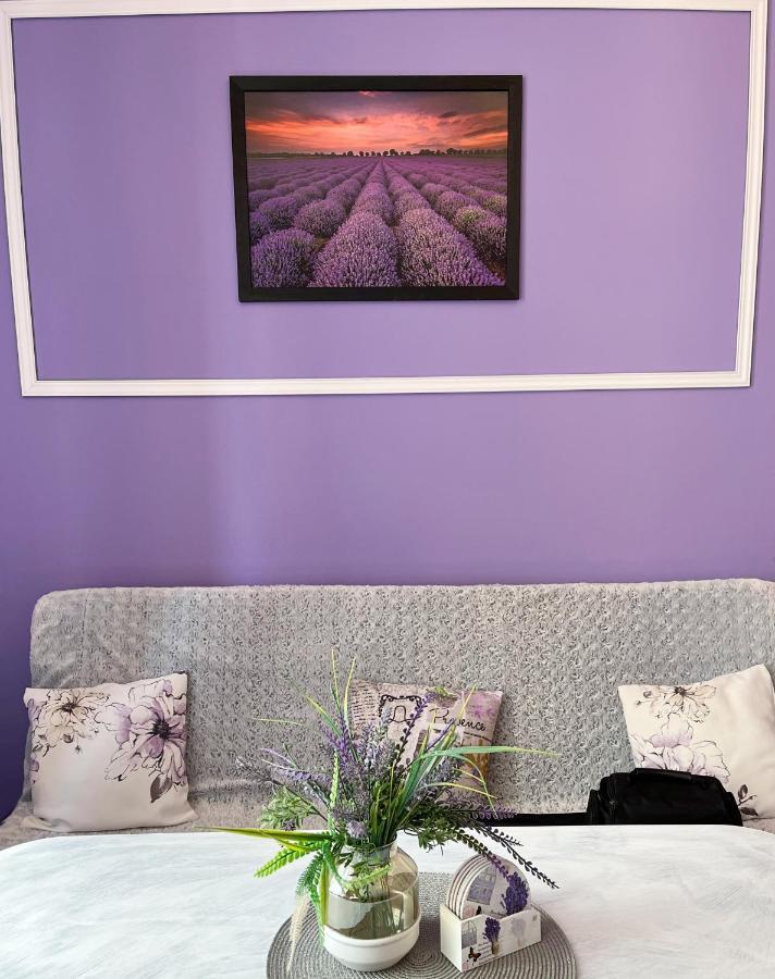 Apartament Lawendowy Walbrzych Luaran gambar